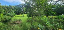 Seletar Garden (D28), Terrace #554981981